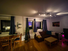 Studio apt in quiet residential area 20min to city centre, Oslo